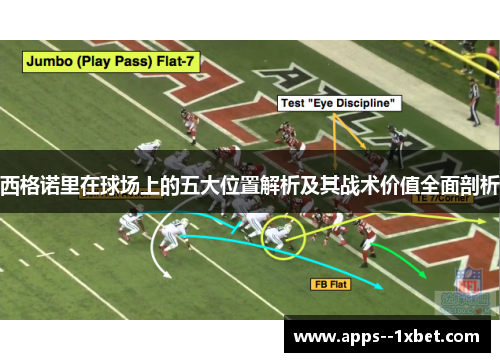 西格诺里在球场上的五大位置解析及其战术价值全面剖析 西格诺里在球场上的五大位置解析及其战术价值全面剖析